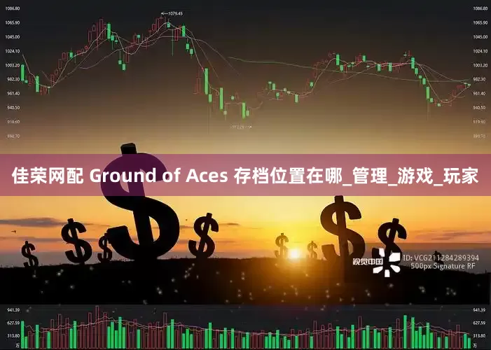 佳荣网配 Ground of Aces 存档位置在哪_管理_游戏_玩家